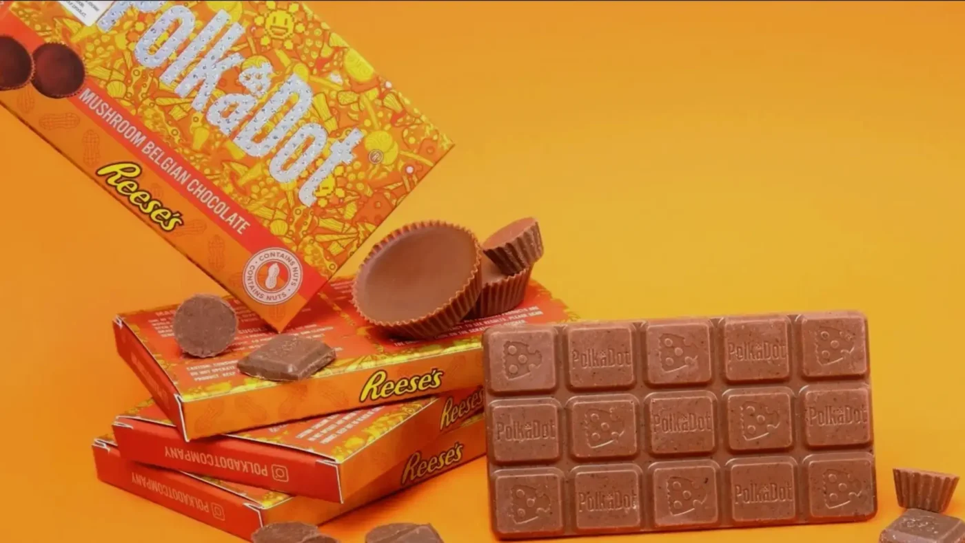 Unwrapped Polkadot Chocolate Bar, showing its individual segments and the Polkadot logo
