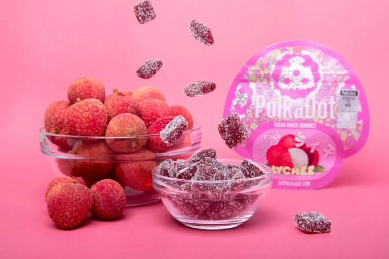 Polkadot Vegan Magic Gummies